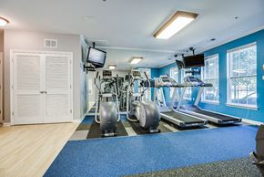 Rockville apartment for rent - Fitness center with treadmills, machines and free weights at The Residences at King Farm Apartments, Maryland, 20850