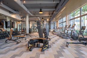 Miami apartment for rent - A gym with a variety of equipment including treadmills, weights, and exercise bikes.