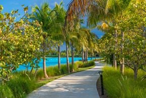 North Miami apartment for rent - A walkway with trees and a body of water.