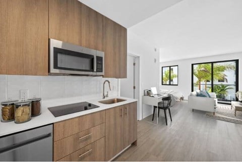 Floor plan for studio, 1 bath, 536 sqft