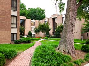 Washington apartment for rent - Building courtyard at Park Pleasant apartments