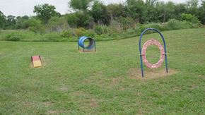 Victoria apartment for rent - A playground with a blue and red ring and a yellow block.