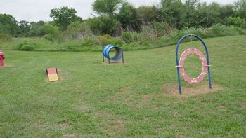 Dog park