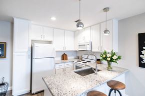 Victoria apartment for rent - A kitchen with a white refrigerator and a marble countertop.