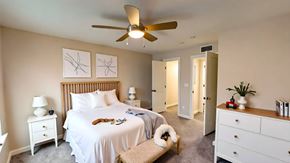 Victoria apartment for rent - A bedroom with a large bed, a ceiling fan, and a small dog.