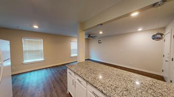 Granite countertops