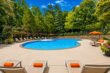 Pool & sun deck