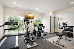 Prior Lake apartment for rent - A spacious home gym with a treadmill, elliptical machines, and a bench press.