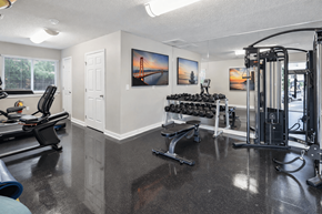 Concord apartment for rent - A spacious gym with a variety of equipment including treadmills, weights, and a squat rack.