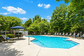 Newnan apartment for rent - A large outdoor swimming pool surrounded by trees and lounge chairs.