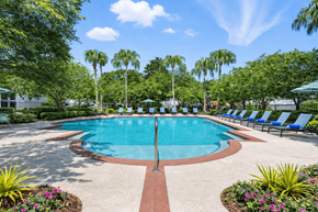 Jacksonville apartment for rent - A large swimming pool surrounded by trees and lawn chairs.