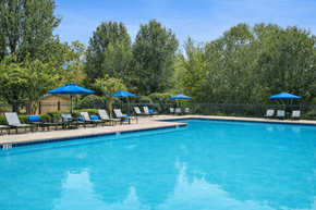 Decatur townhouse for rent - A large swimming pool surrounded by trees and lounge chairs.