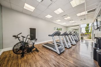 Fitness with treadmills and air bike