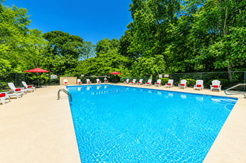 Large outdoor pool with surrounding deck and seating