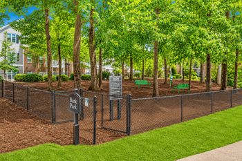 Dog park
