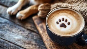 Jordan river apartments pet-friendly community