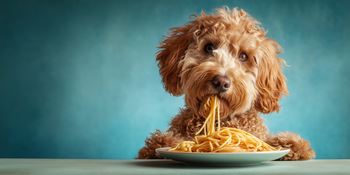 Riverwalk pet-friendly community