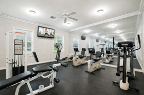 Sanford apartment for rent - A spacious home gym with a variety of exercise equipment.