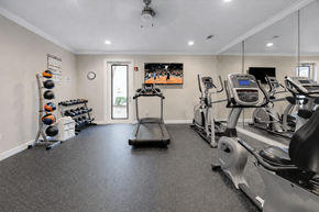 Katy apartment for rent - A spacious gym with a variety of equipment including treadmills, elliptical machines, and weight racks.