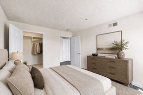 Portsmouth apartment for rent - A bedroom with a large bed and a dresser with a mirror above it.