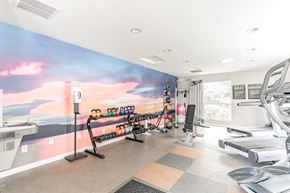 Carson City apartment for rent - a home gym with a colorful mural on the wall at Parkway Terraces Apartments, Carson City, NV, 89706