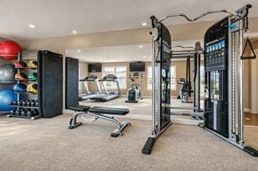 Jeffersonville apartment for rent - A well-equipped home gym with a variety of exercise machines and equipment.