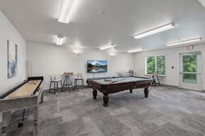Billings apartment for rent - A room with a pool table, a billiard table, and a TV.