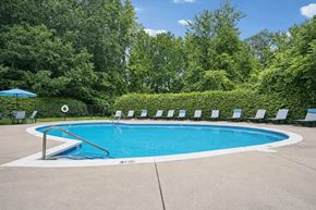 Charlotte apartment for rent - A pool surrounded by trees and chairs.