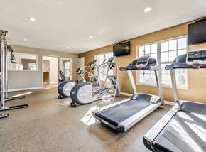 Minneapolis apartment for rent - A spacious gym with treadmills, elliptical machines, and a television.
