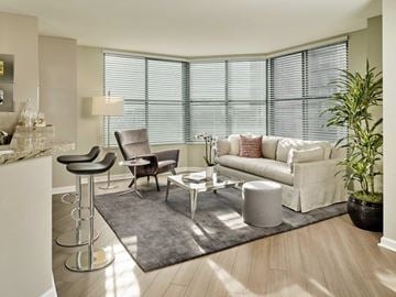 San Francisco apartment for rent - A modern living room with a grey rug and a white sofa.