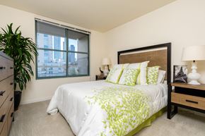 San Francisco apartment for rent - A bedroom with a large bed and a potted plant.