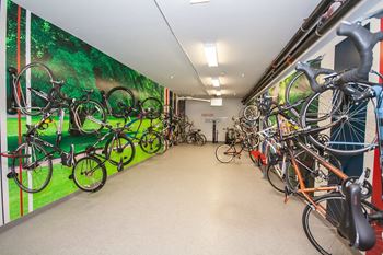Bike shop with bicycles hanging on the wall