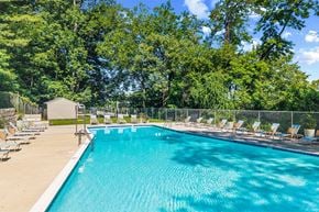 Towson apartment for rent - A large outdoor swimming pool surrounded by trees and lounge chairs.