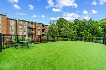Lush green lawn area