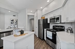 Tampa apartment for rent - kitchen with stove and refrigerator