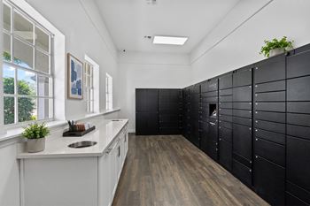 Luxer one-package system