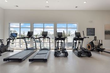 The gym with treadmills and ellipticals at the preserve at great pond apartments 
