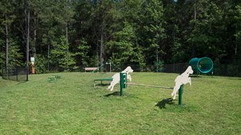 Bark park