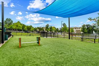 Dog park