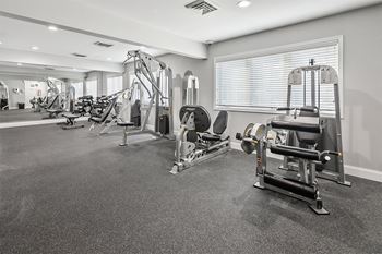 The gym is equipped with cardio equipment and weights