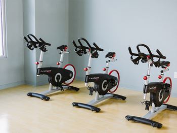 Peloton bikes