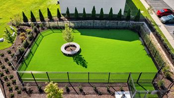 An aerial view of a dog park with green grass and a fountain