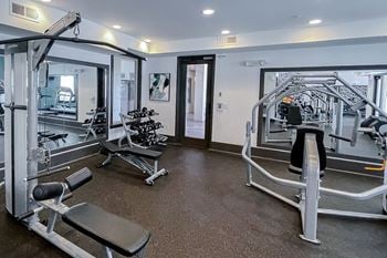 Strength equipment in the fitness center  