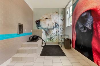 Pet spa with steps and dryer