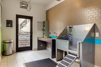 Pet spa with washing tub and exit door