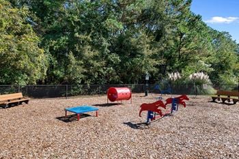 A dog park with a agility equipment