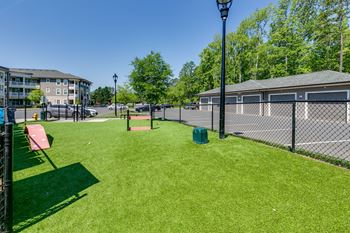 Bark park dog park