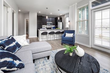 Summerville apartment for rent - A modern living room with a grey sofa and a black coffee table.