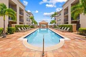 Miami Lakes apartment for rent - A swimming pool surrounded by lounge chairs and palm trees.