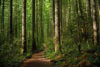 Nearby hiking trails